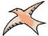 Illustration oiseau